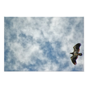 Foto Possibilidades futuras