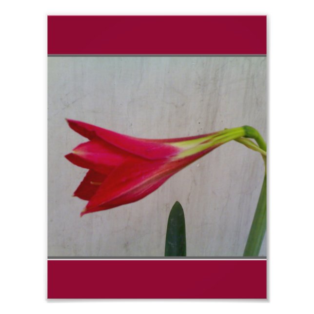 Foto Poster (Frente)