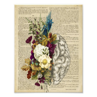 Foto poster de anatomia do cérebro floral médico