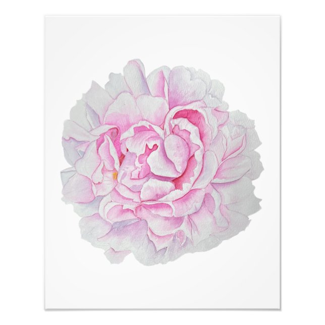 Foto Pôster de Flor de Peônia Rosa em Aquarela (Frente)