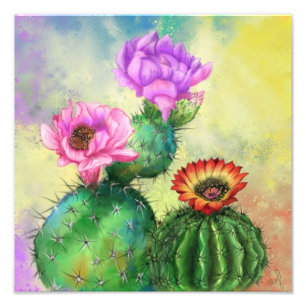 Foto Poster de Flores de Cactus