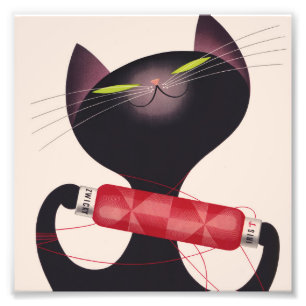 Foto Poster de Gato Zwicky por Donald Brun