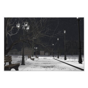 Foto poster de papel 36"x24" com imagem "City Park"