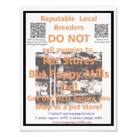 Poster de Sensibilização do Puppy Mill