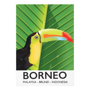 Foto Poster de viagens Borneo Toucan