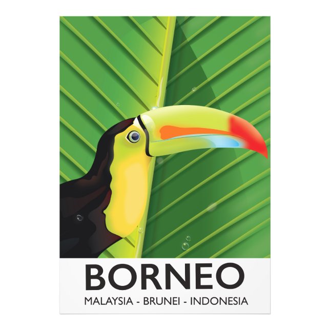 Foto Poster de viagens Borneo Toucan (Frente)