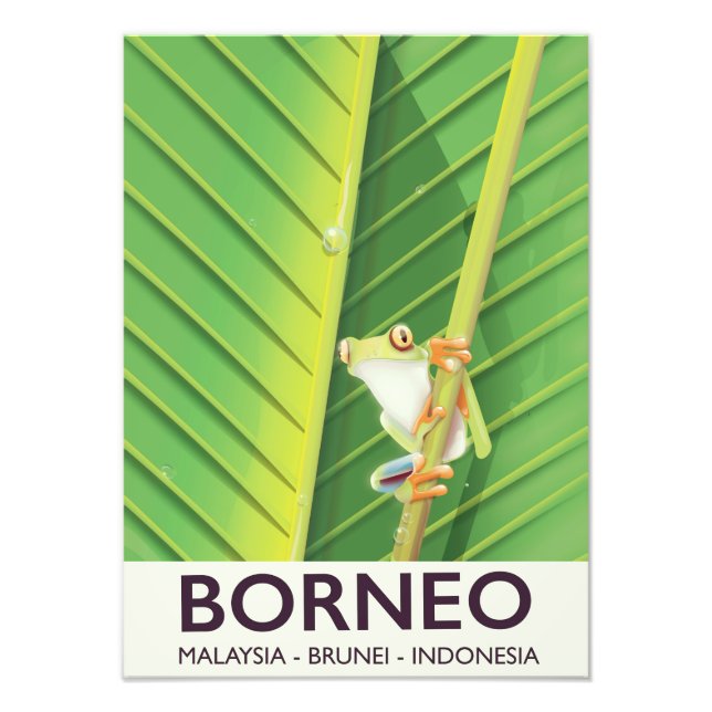 Foto Poster de viagens sapo Borneo Poison (Frente)