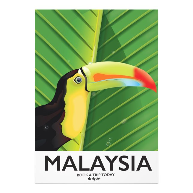 Foto Poster de viagens Toucan da Malásia (Frente)