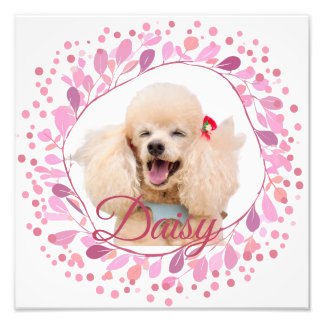 Foto Pôster Fotográfico Rosa Pastel Personalizado