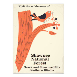 Foto poster vintage da Floresta Nacional de Shawnee