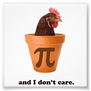 Foto Pote de frango Pi (e eu não me importo)