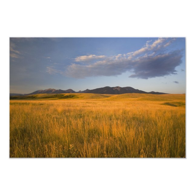 Foto Pradarias nas estribos da (Frente)