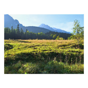 Foto Prado da Montanha Verde – Natureza Selvagem Romêni