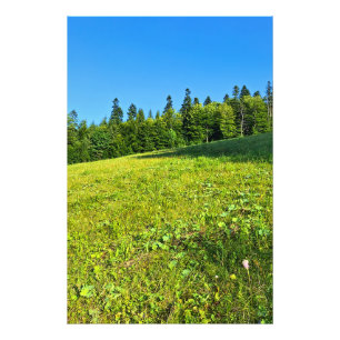 Foto Prado Verde dos Cárpatos – Impressão de Montanha d
