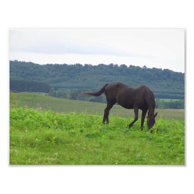 Foto Prados do Amor (Frente)