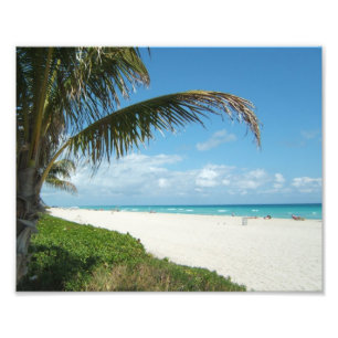 Foto Praia branca w/Palm da areia