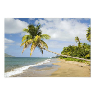 Foto Praia Coconut Grove na Baía de Cades, com St. 2