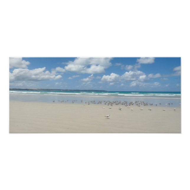 Foto Praia com gaivotas (Frente)