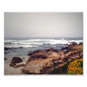 Foto Praia de Asilomar, bosque pacífico, CA, EUA