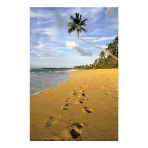 Foto Praia Porto Rico