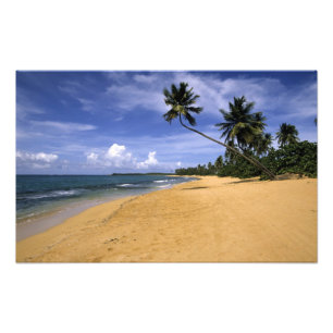 Foto Praia Porto Rico