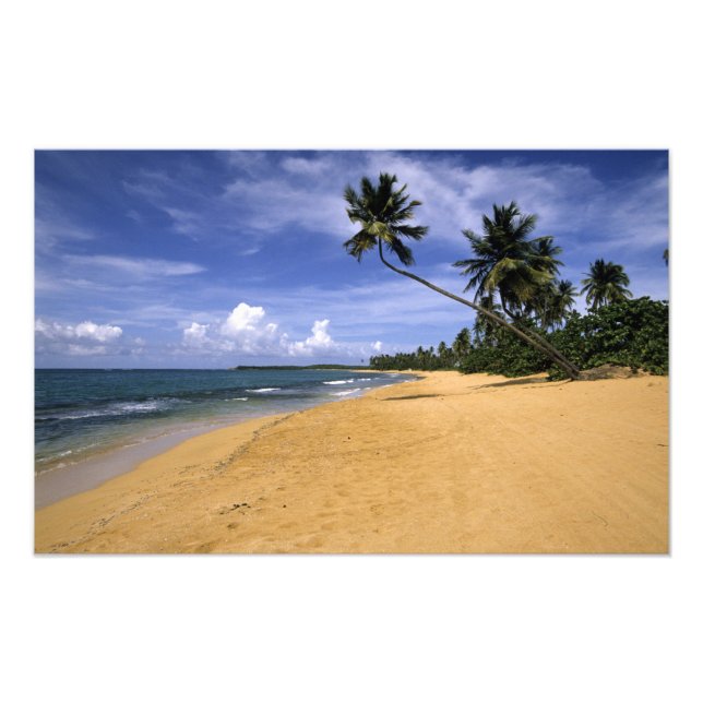 Foto Praia Porto Rico (Frente)