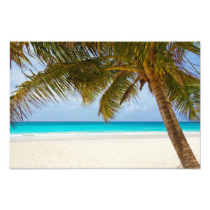 Foto Praia Tropical do Paraíso