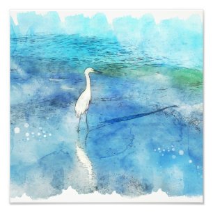 Foto Praia tropical em Azul Aqua Turquoise Teal com Wh