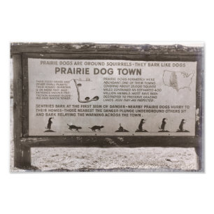 Foto Prairie Dog Town South Dakota Wind Cave Retro