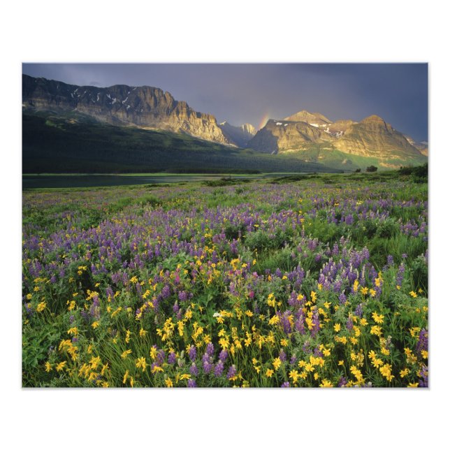 Foto Prairie wilflower enche pradarias perto do lago (Frente)