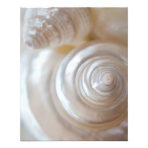 Foto Prateleiras Tropicais de Prados Costeiros