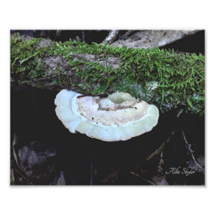 Foto Prazo de validade