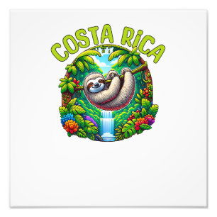 Foto Preguiça da Costa Rica - Camiseta T da Cachoeira d