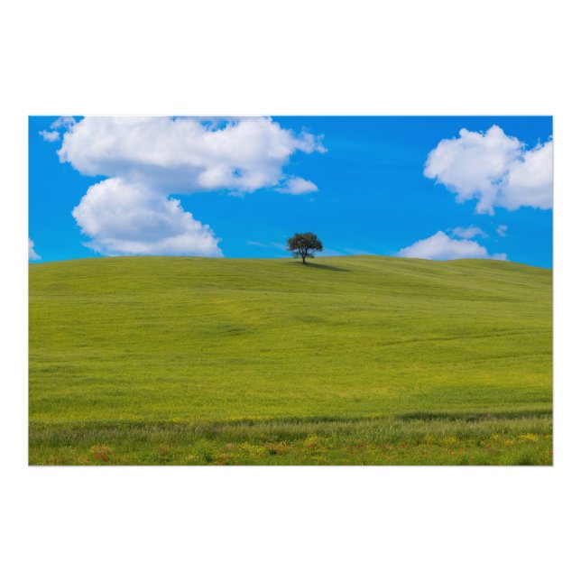 Foto Premium Satin Photo Paper Photo Enlargement (Frente)