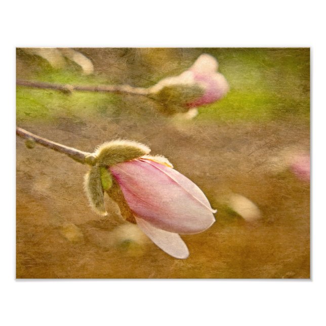 Foto Presente da Esperança (Frente)