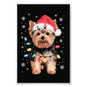 Foto Presente de Natal de Yorkie Cachorro Longo Present