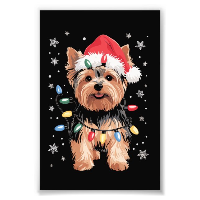 Foto Presente de Natal de Yorkie Cachorro Longo Present (Frente)