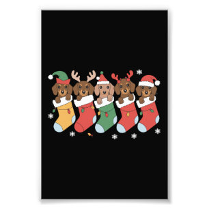 Foto Presente de Natal para Mãe de Dachshund Amante de