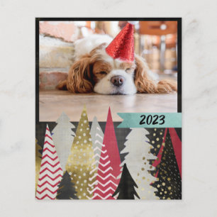 Foto Preta Vermelha de Orçamento