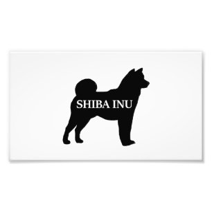 Foto Preto conhecido do silo de Shiba Inu