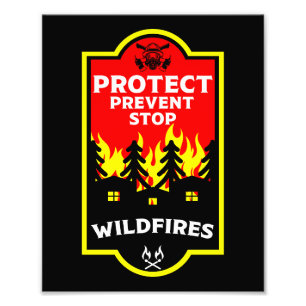 Foto Prevenção de Incêndios Florestais