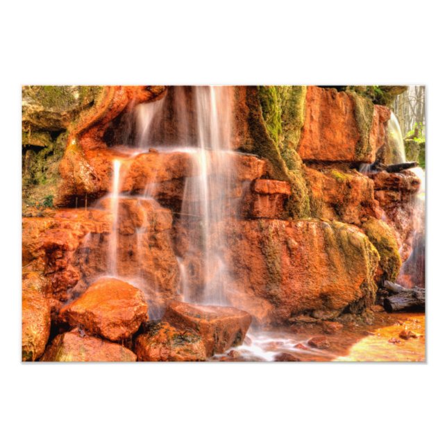 Foto Primavera amarelo, Glen Helen Nature Reserve, Ohio (Frente)