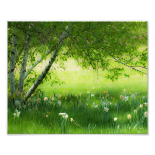 Foto Primavera Daffodilos