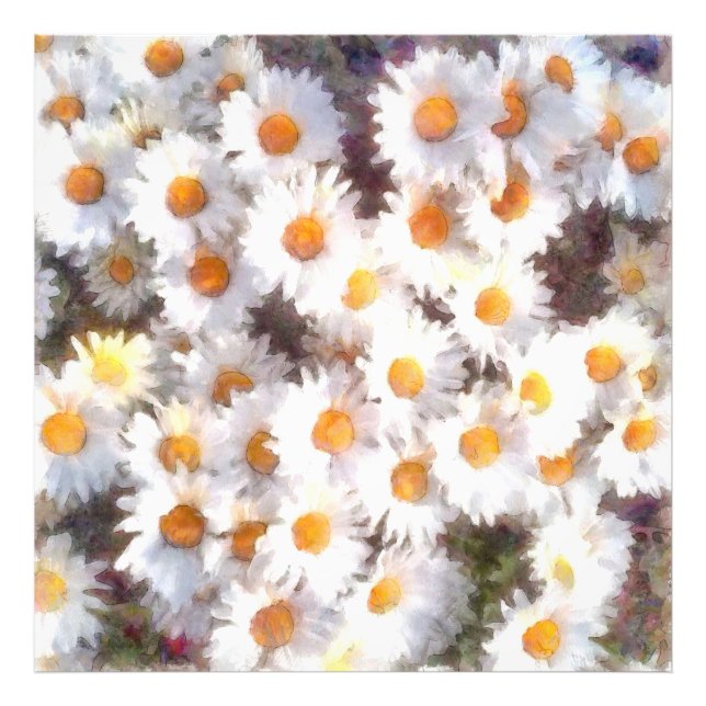 Foto Primavera Daisy Wildflower Watercolor (Frente)