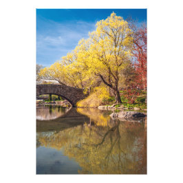 Foto Primavera Dourada 
