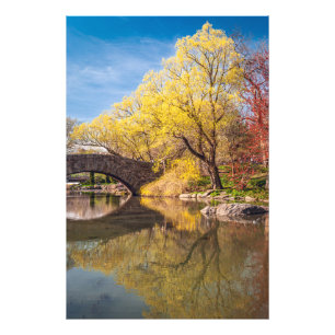 Foto Primavera Dourada