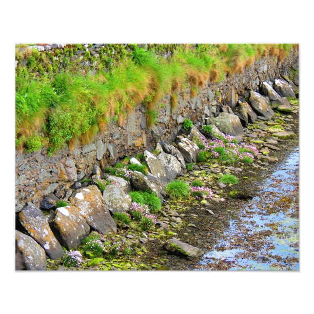 Foto Primavera irlandês nº 1 (Frente)