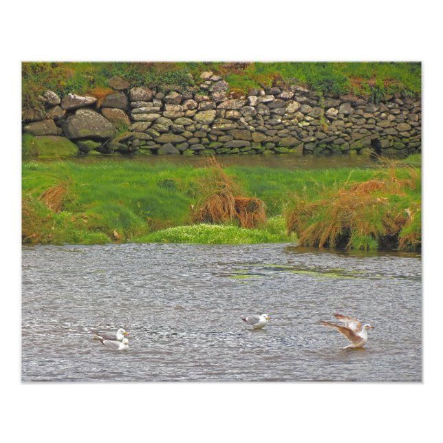 Foto Primavera irlandês nº 2 (Frente)