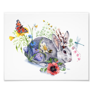 Foto Primavera Jackalope