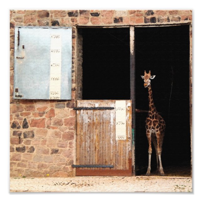 Foto Priya Digital Art Impressão (Frente)